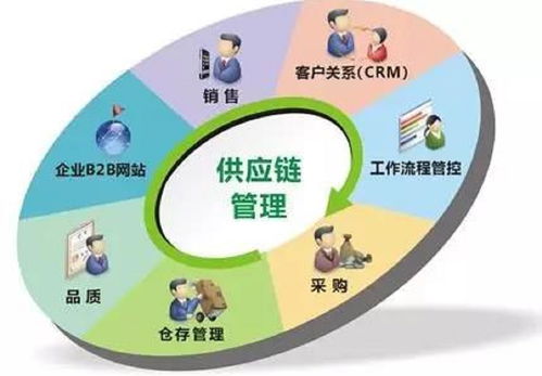 农商互联谋定质量 丰收节交易会的实践与思考